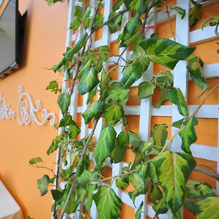 Vila Kerciku מלון 3*