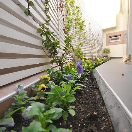 Hotell Vila Kerciku 3*