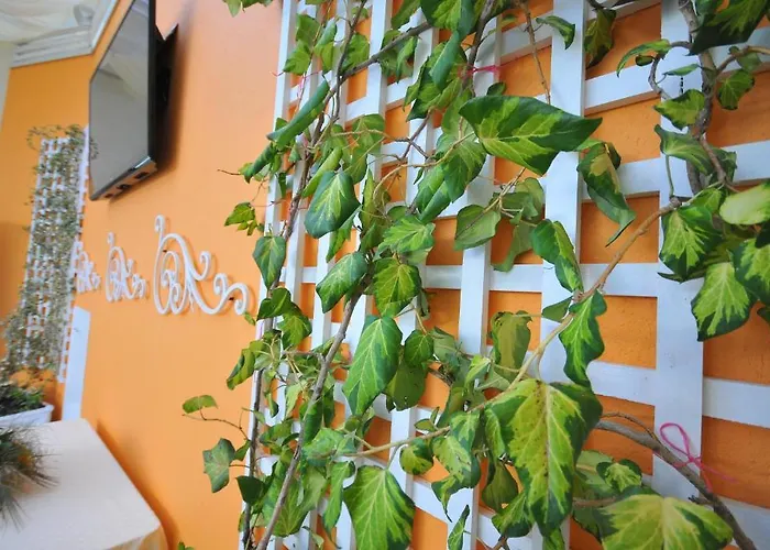 Vila Kerciku מלון 3*