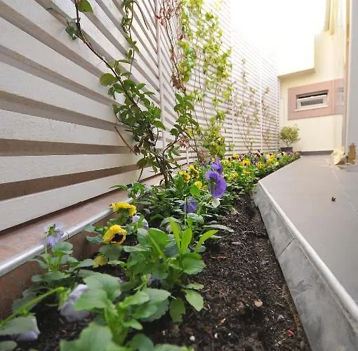 מלון Vila Kerciku 3*